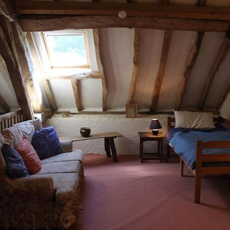 Grand gîte de campagne capacité jusqu'à 10 personnes Chantenay-Saint-Imbert Extérieur photo