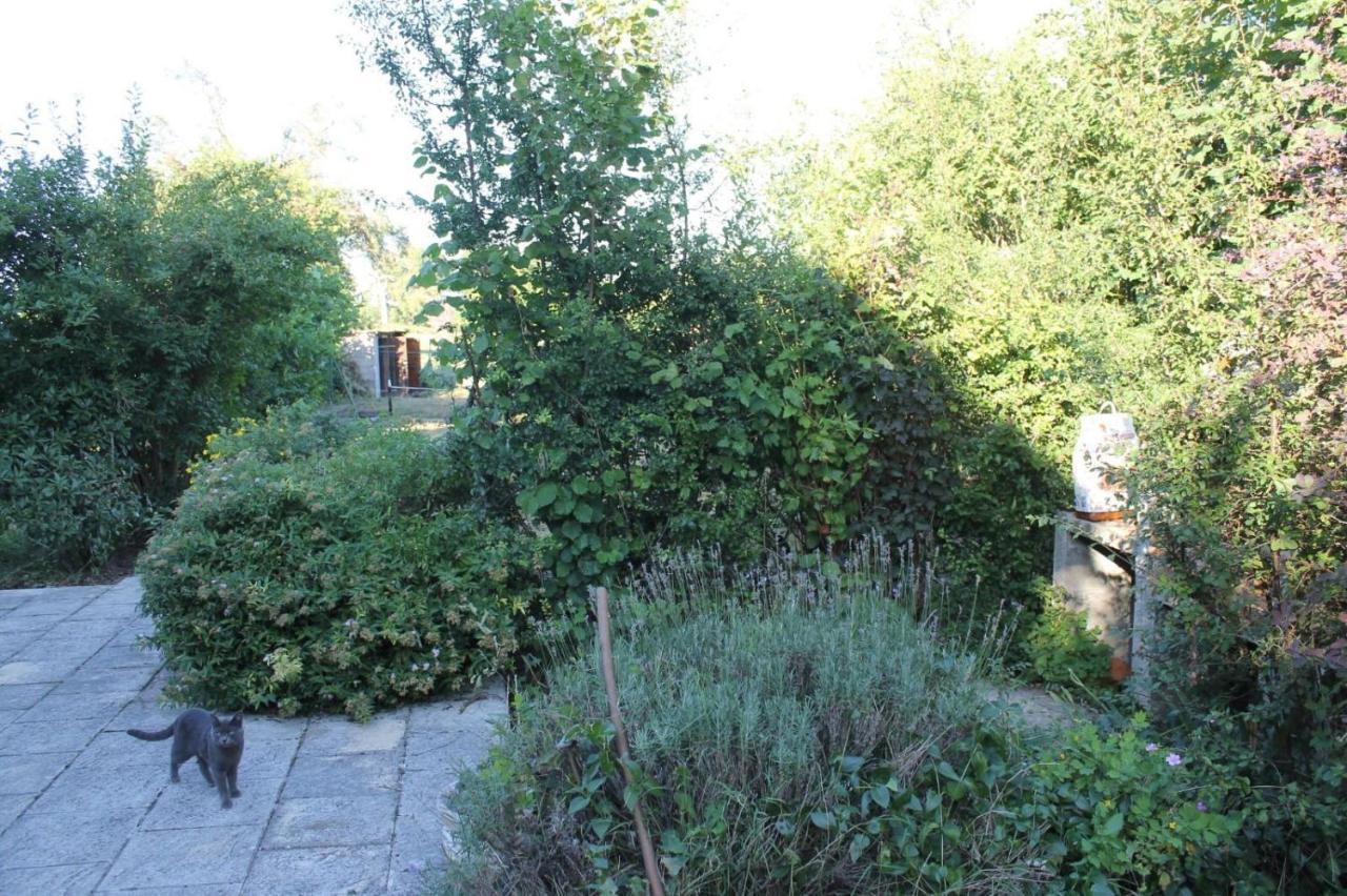 Grand gîte de campagne capacité jusqu'à 10 personnes Chantenay-Saint-Imbert Extérieur photo